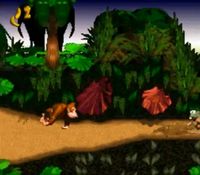une photo d'Ã©cran de Donkey Kong Country sur Nintendo Super Nes